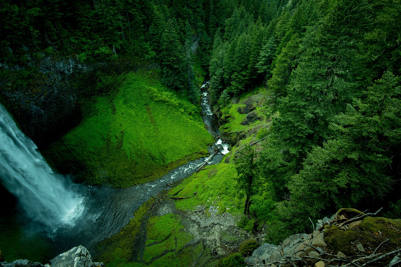 Sometimes We Flow, Sometimes We Grow